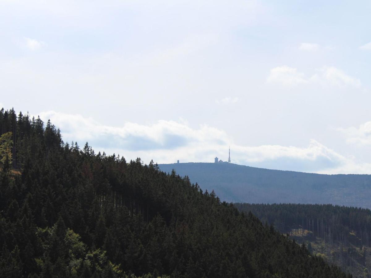 Classic Holiday Home In The Harz Mountains Ільзенбург Екстер'єр фото